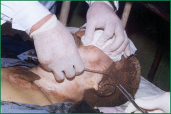 利来最给利的老牌(中国区)_利国国际w66