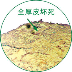 利来最给利的老牌(中国区)_利国国际w66