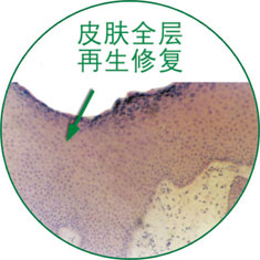 利来最给利的老牌(中国区)_利国国际w66