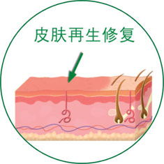 利来最给利的老牌(中国区)_利国国际w66