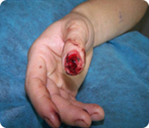 利来最给利的老牌(中国区)_利国国际w66