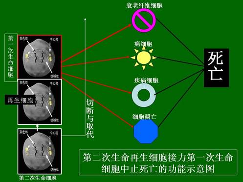 利来最给利的老牌(中国区)_利国国际w66