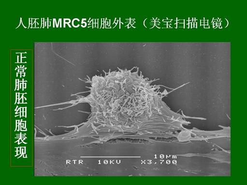 利来最给利的老牌(中国区)_利国国际w66