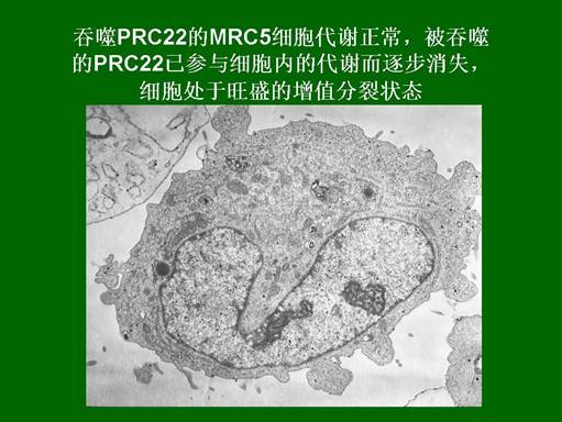 利来最给利的老牌(中国区)_利国国际w66
