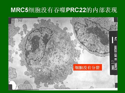 利来最给利的老牌(中国区)_利国国际w66