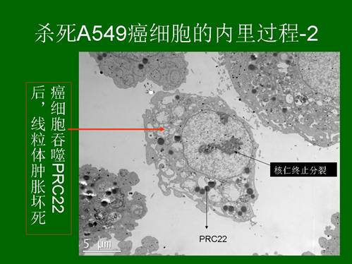 利来最给利的老牌(中国区)_利国国际w66