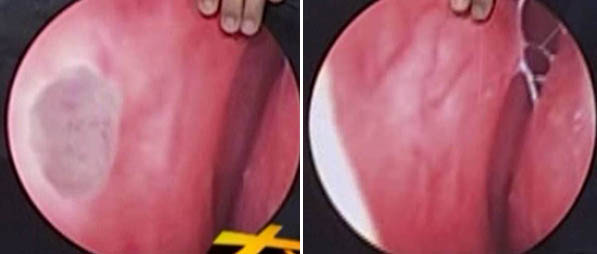 利来最给利的老牌(中国区)_利国国际w66