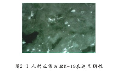 利来最给利的老牌(中国区)_利国国际w66