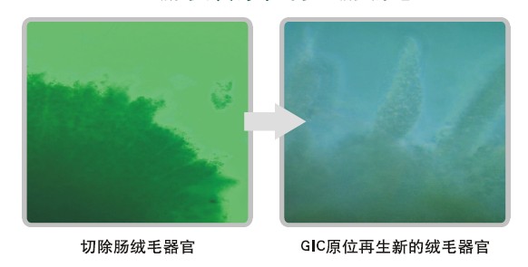 利来最给利的老牌(中国区)_利国国际w66