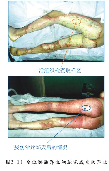 利来最给利的老牌(中国区)_利国国际w66