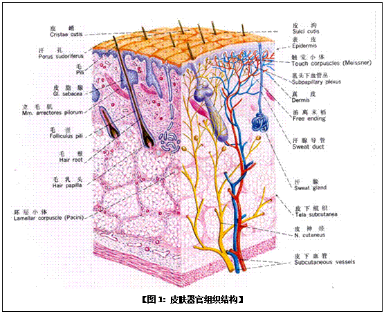 利来最给利的老牌(中国区)_利国国际w66