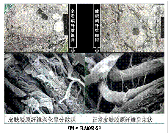 利来最给利的老牌(中国区)_利国国际w66