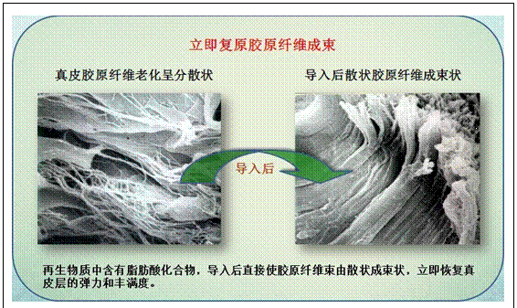 利来最给利的老牌(中国区)_利国国际w66