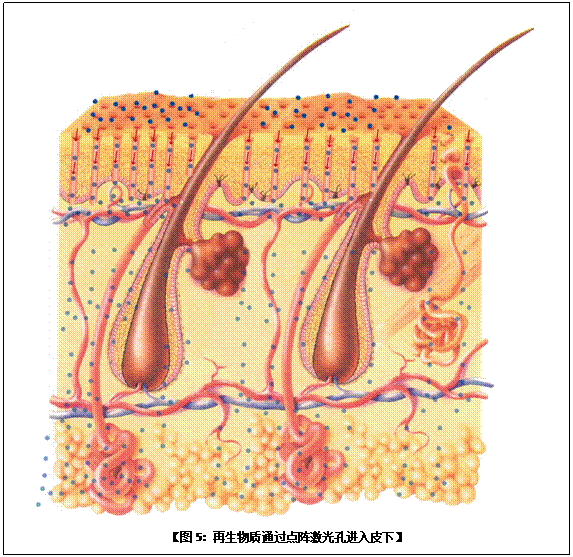 利来最给利的老牌(中国区)_利国国际w66