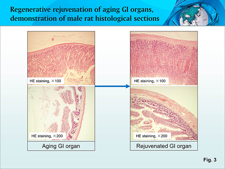 利来最给利的老牌(中国区)_利国国际w66