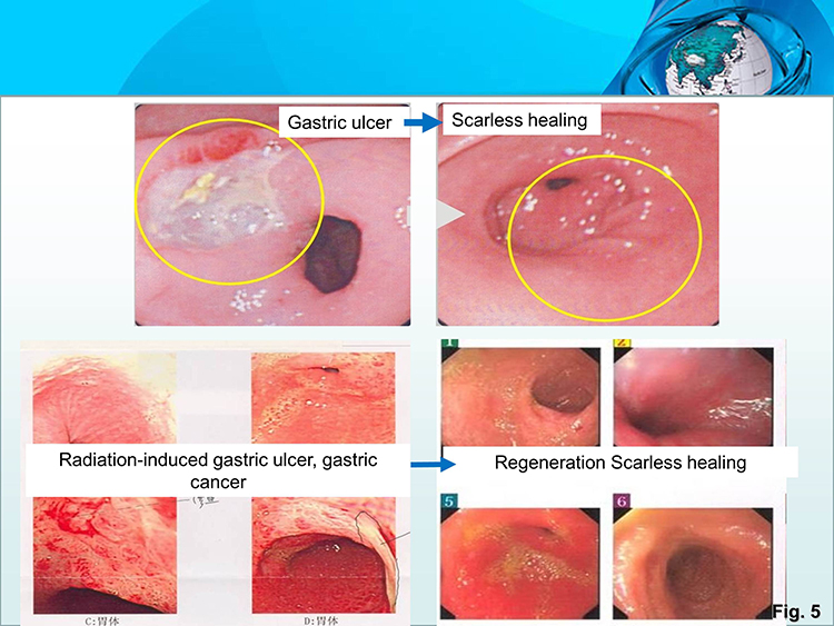 利来最给利的老牌(中国区)_利国国际w66