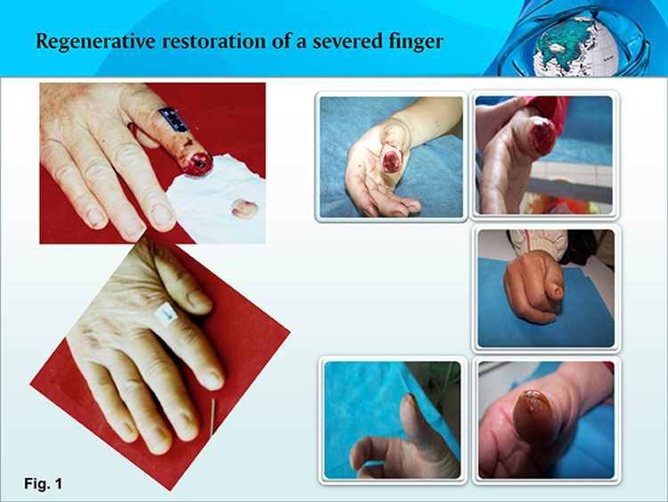 利来最给利的老牌(中国区)_利国国际w66