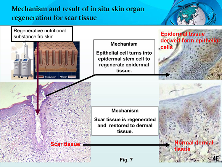 利来最给利的老牌(中国区)_利国国际w66