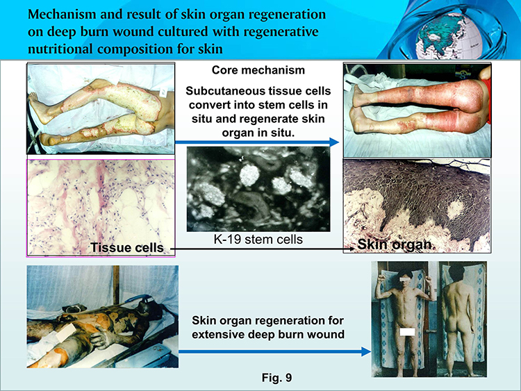 利来最给利的老牌(中国区)_利国国际w66