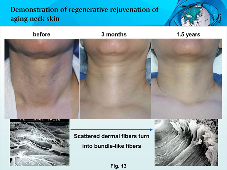 利来最给利的老牌(中国区)_利国国际w66