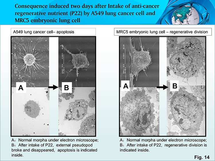 利来最给利的老牌(中国区)_利国国际w66