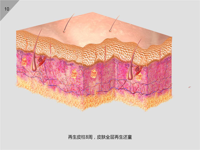 利来最给利的老牌(中国区)_利国国际w66