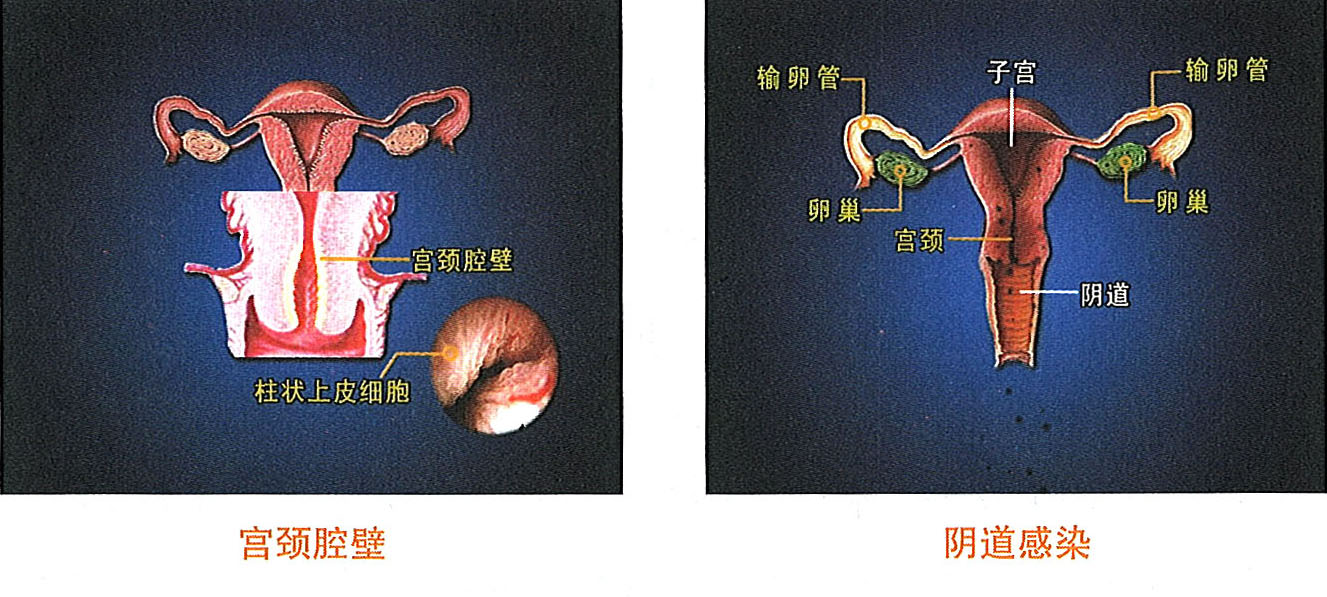 利来最给利的老牌(中国区)_利国国际w66